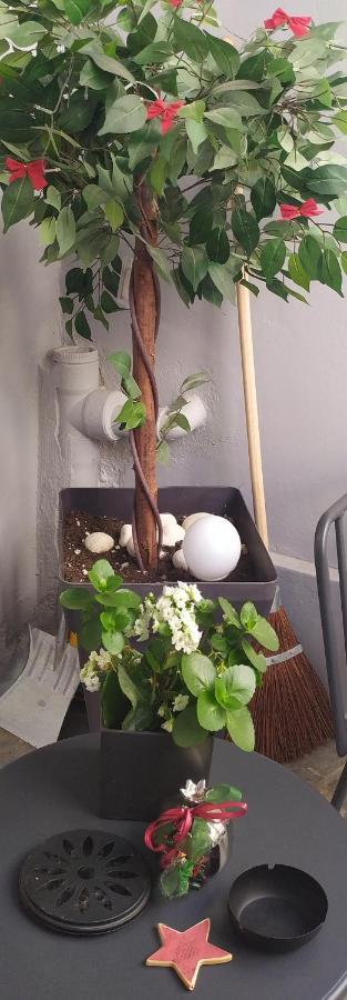 雅典Tiny Little House公寓 外观 照片